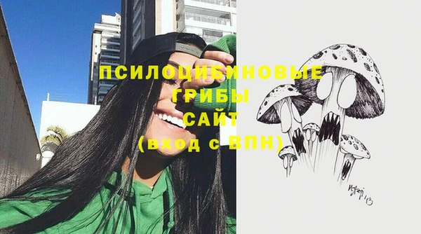 трава Зеленодольск