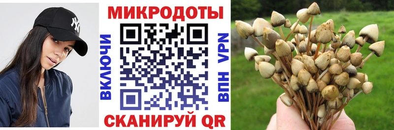 Галлюциногенные грибы Psilocybine cubensis  Купить закладки  Макаров 